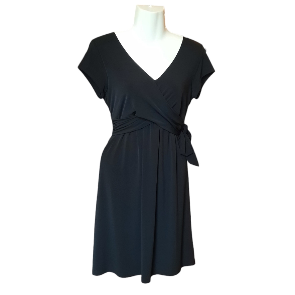 AB Studio Fit and Flare Dress